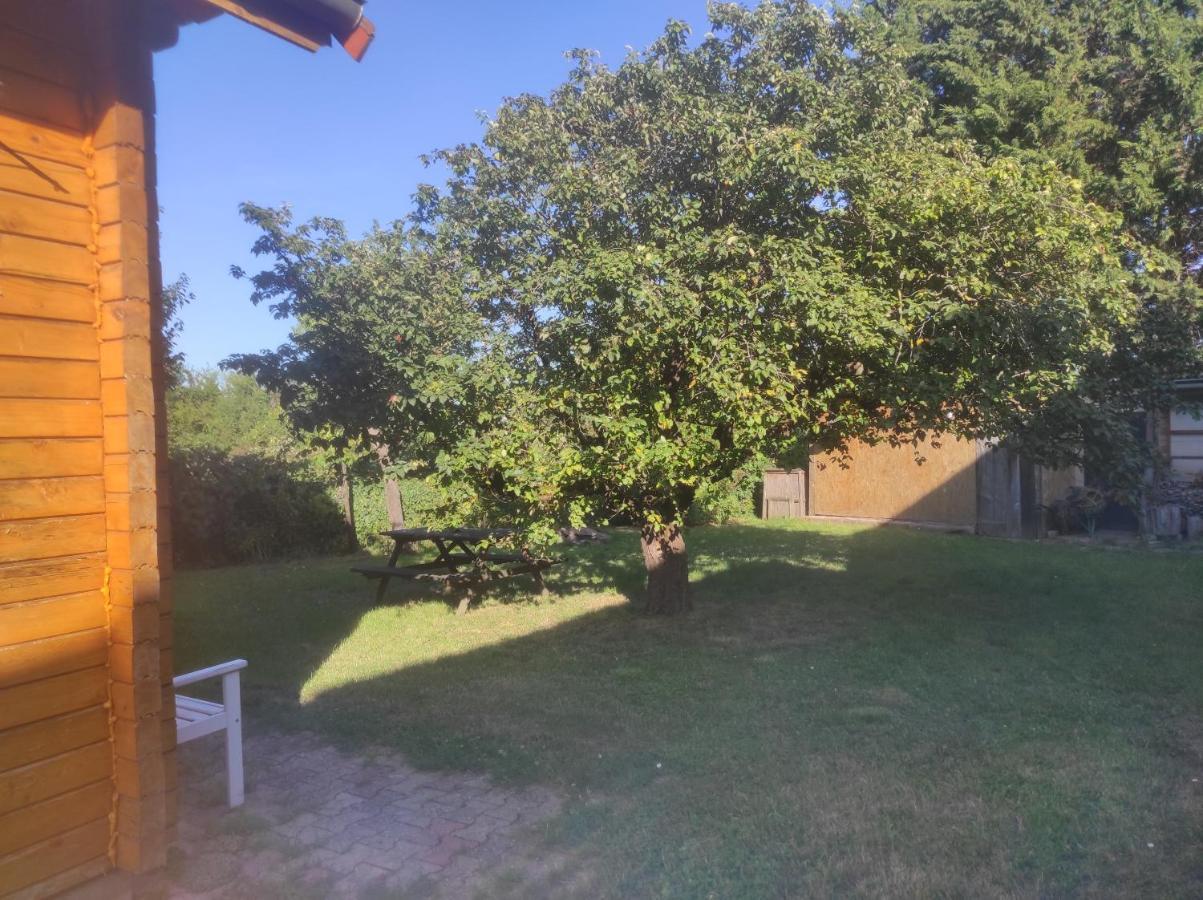 Chalet Du Florival Soultz-Haut-Rhin Zewnętrze zdjęcie