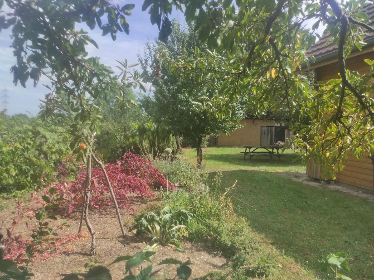Chalet Du Florival Soultz-Haut-Rhin Zewnętrze zdjęcie